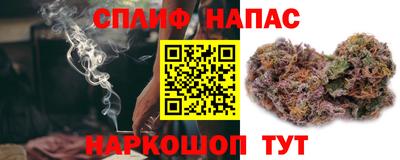 mdpv Рыбинск